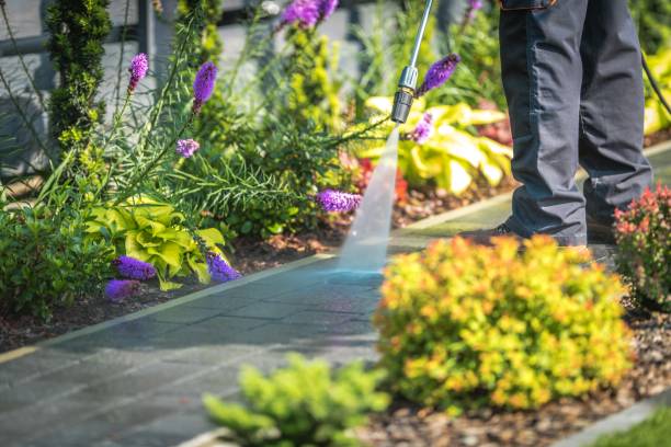 Best Boat and Dock Cleaning  in Mpbell, CA